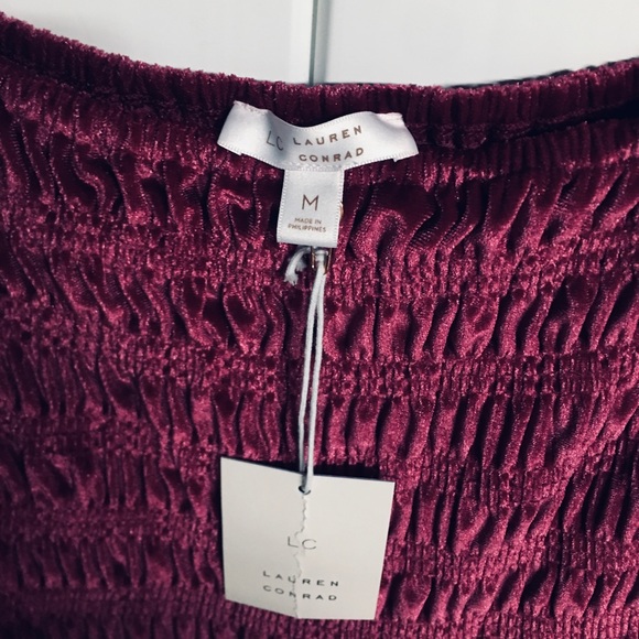 NWT LC Lauren Conrad Smoked Top Velvet Mini Dress - Picture 3 of 4